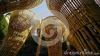 Bamboo columns in Dubai Miracle Park. UAE. Editorial Stock Photo