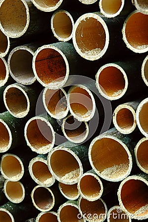 Bamboo cut Stock Photo