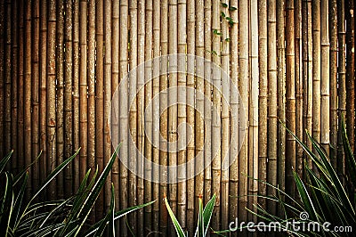 Bamboo fence Stock Photo