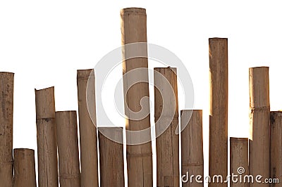 Bamboo fence Stock Photo