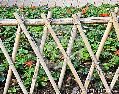 Bamboo fence Stock Photo