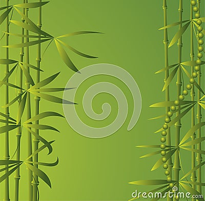 Bamboo forest Vector Illustration