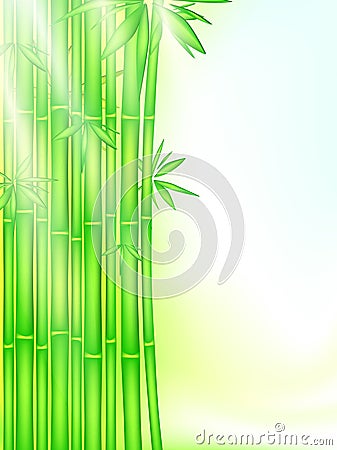 Bamboo forest Vector Illustration