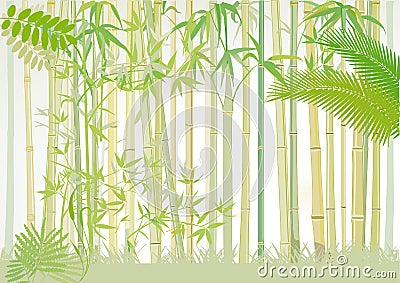 Bamboo forest Vector Illustration