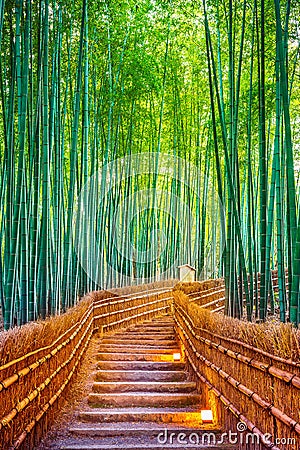 Bamboo Forest in Kyoto, Japan Stock Photo