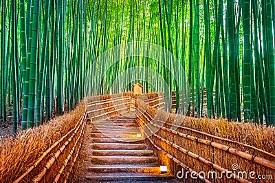 Bamboo Forest in Kyoto, Japan Stock Photo