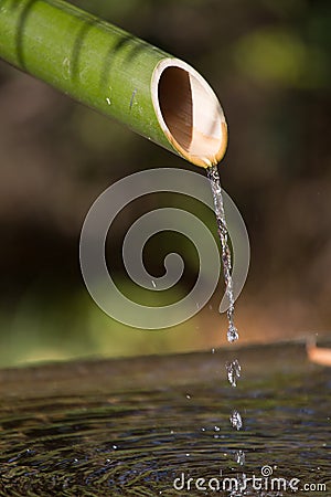 Bamboo fountain in japanese temple Stock Photo