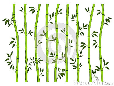 Bamboo green stem leaf borders set exotic fresh natural asian traditional tree leaves plant sticks Vector Illustration