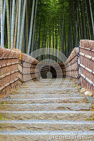 Bamboo Grove at Adashino Nenbutsuji Temple in Kyoto, Japan Stock Photo