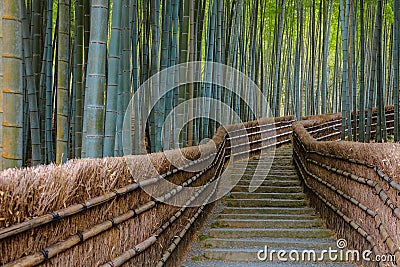 Bamboo Grove at Adashino Nenbutsuji Temple in Kyoto, Japan Stock Photo