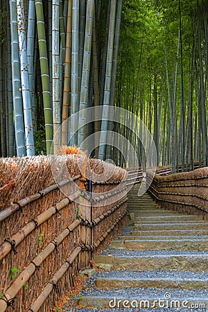 Bamboo Grove at Adashino Nenbutsuji Temple in Kyoto, Japan Stock Photo