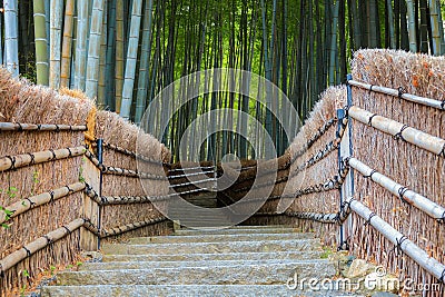 Bamboo Grove at Adashino Nenbutsuji Temple in Kyoto, Japan Stock Photo