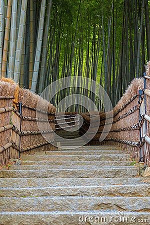 Bamboo Grove at Adashino Nenbutsuji Temple in Kyoto, Japan Stock Photo