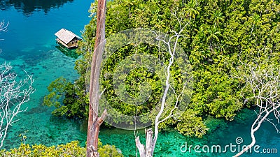 Bamboo Hut in Mangrove near Warikaf Homestay, Kabui Bay and Passage. Gam Island, West Papuan, Raja Ampat, Indonesia Stock Photo