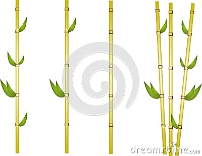 Bamboo illustration Cartoon Illustration