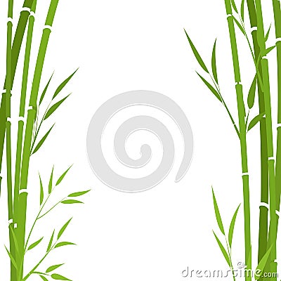 Bamboo isolated on white background .. Green branches on white background Vector Illustration