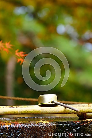 Bamboo ladle Stock Photo