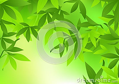 Bamboo leaf Cartoon Illustration