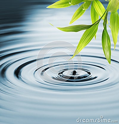 Bamboo leaves over water Stock Photo