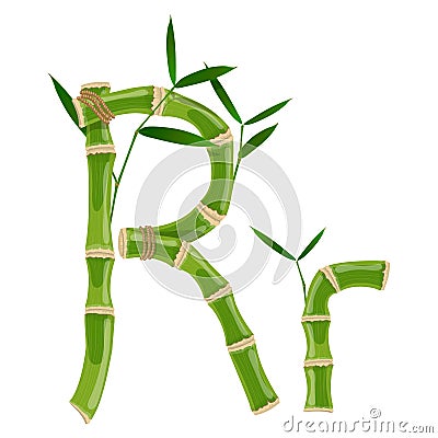 Bamboo letter R Vector Illustration