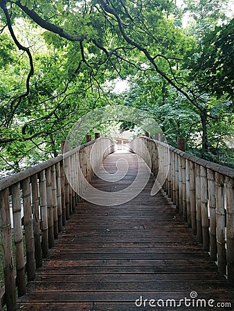 Bamboo pedestrian suspension bridge close up background in Hungary Stock Photo