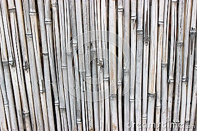 Bamboo rustic wall fence textured background Stock Photo