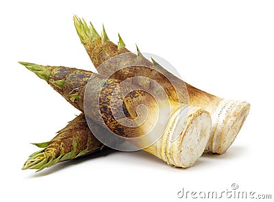 It is bamboo shoot Stock Photo