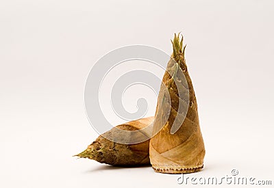 Bamboo shoots Stock Photo