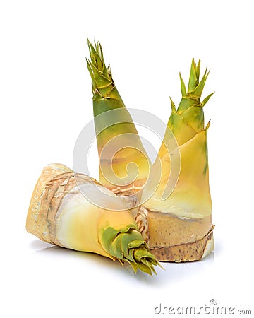 Bamboo shoots Stock Photo