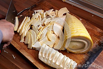 Bamboo Shoots Stock Photo