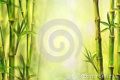 Bamboo forest spa background. Watercolor hand drawn green botanical illustration with space for text Cartoon Illustration