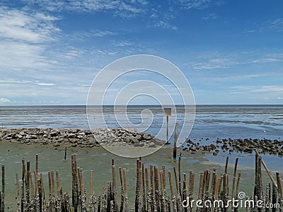 Bamboo stakes at low tide Stock Photo