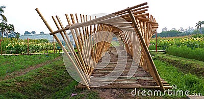 The bamboo sticks that are beautiful. Stock Photo