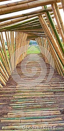 The bamboo sticks that are beautiful. Stock Photo