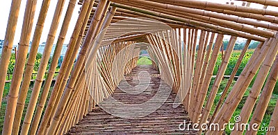 The bamboo sticks that are beautiful. Stock Photo