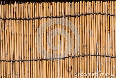 Bamboo stockade background Stock Photo