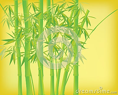 Bamboo tree Cartoon Illustration