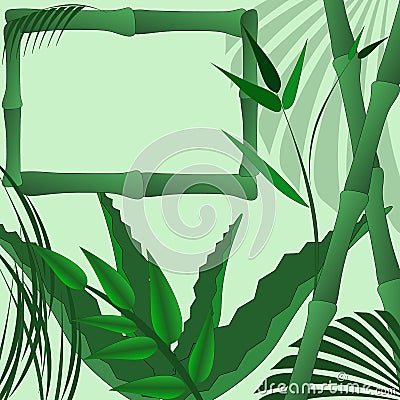 bamboo tropical agave leaves palm pattern frame template Stock Photo