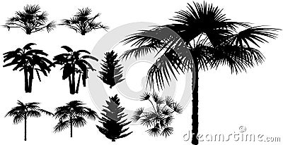 Bamboo and tropical plant Vector Illustration