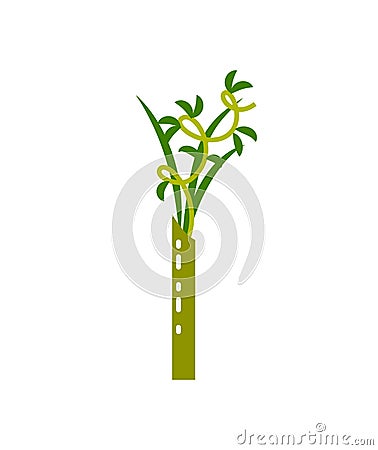 Bamboo Tropical Stable with Leaves Asian Plant Vector Illustration