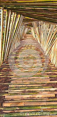 Bamboo walkway The bamboo sticks Stock Photo