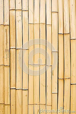 Bamboo wall Stock Photo