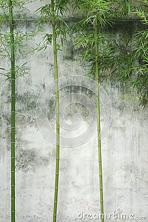 Bamboo wall Stock Photo