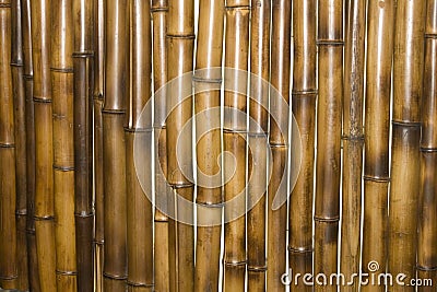 Bamboo wall as background Stock Photo