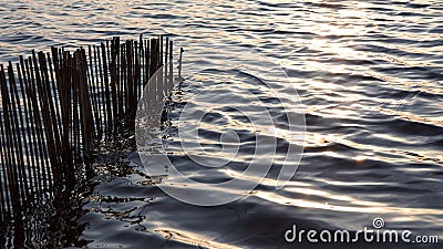 Bamboo walls with light waves. Stock Photo