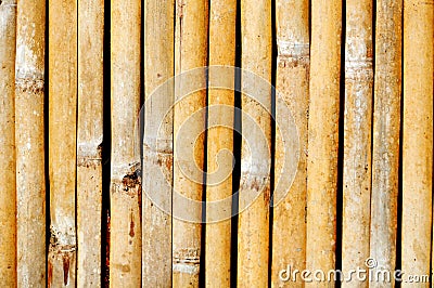 Bamboo walls texture,blade bamboo wall textures and backgrounds Stock Photo