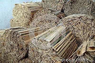 Bamboo sticks ready for further slicing into thin slices Stock Photo