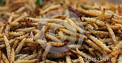 Bamboo worm fried, fried insects are a high protein foods Stock Photo