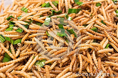 Bamboo worm fried, fried insects are a high protein foods. Its habitat are the bamboo groves and forests in the cooler regions of Stock Photo