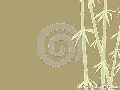Bamboos Stock Photo
